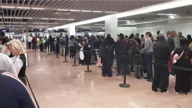 Une panne dans les portes électroniques provoquent d'importantes files dans les contrôles aux frontières.