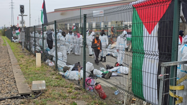 WhatsApp Image 2025-10-11 at 10.35.24.jpeg