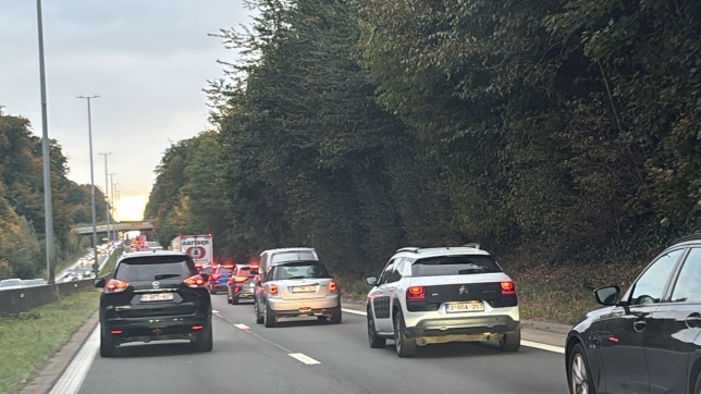 WhatsApp Image 2025-10-13 at 18.26.31.jpeg