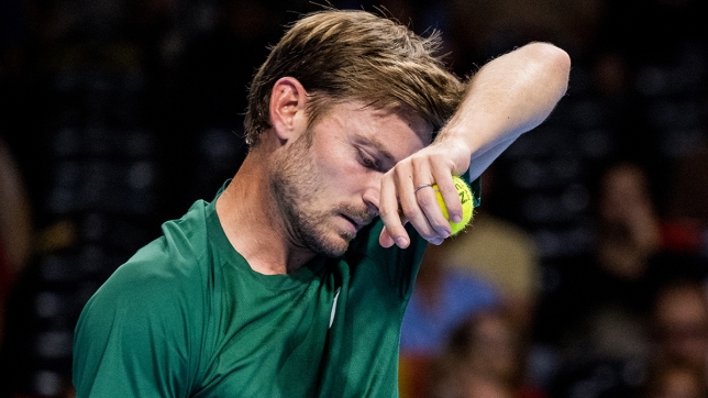 Goffin.jpg