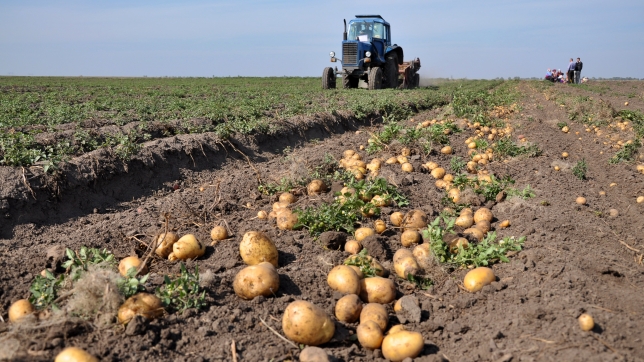 En Belgique, le Code rural autorise le glanage à certaines conditions.