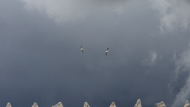 Belgaimage-115530564.jpg