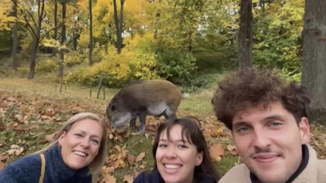 SANGLIER CITADELLE (L.Saint-Ghislain).00_00_41_14.Still004.jpg