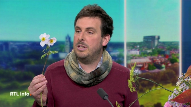 Pépiniériste à Céroux-Mousty, Simon de Witte prodigue de précieux conseils pour profiter des joies de l'automne au jardin. Les températures sont encore douces et certaines fleurs, dites d'automne, vont pouvoir embellir les jardins et les parterres.