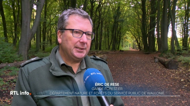Durant toute cette journée, à Seraing, la division Nature et Forêts a invité le public à mieux comprendre les enjeux de la forêt en milieu urbain. L'occasion d'une immersion dans un métier souvent méconnu, celui d'ouvrier forestier.
