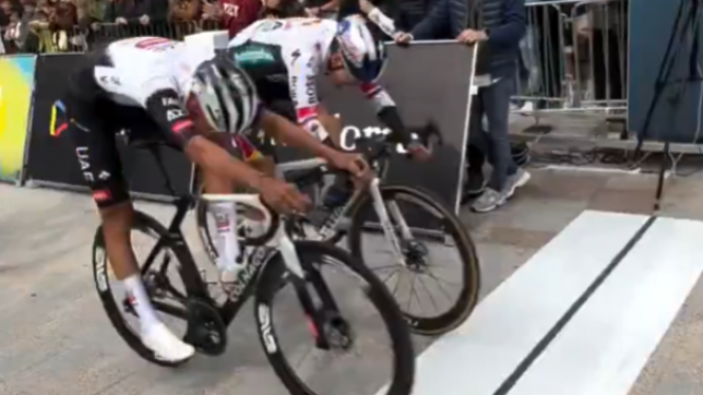 ROGLIC.png