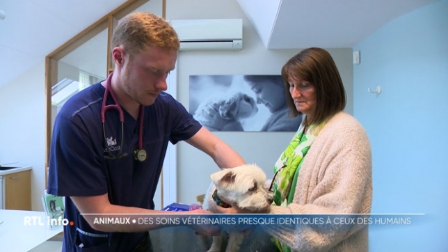 Faire soigner son animal peut avoir un coût important pour un propriétaire. Cela peut s'expliquer par le fait que, pour réaliser des examens et des soins, les cliniques s'équipent de matériel de pointe.