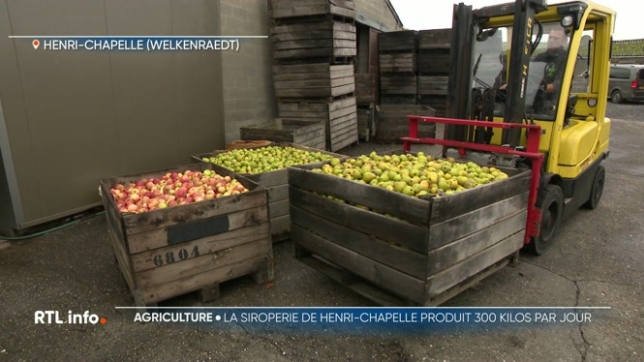 Grâce à la météo, les récoltes de pommes et de poires ont été exceptionnelles cette année. Résultat : ceux qui produisent le fameux sirop, qu'on met sur le fromage ou les tartines, ne manquent pas de travail. Exemple dans une siroperie artisanale où 300 kilos de sirop sont produits tous les jours.