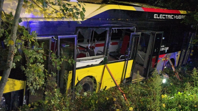 WhatsApp Image 2025-10-22 at 07.09.11.jpeg