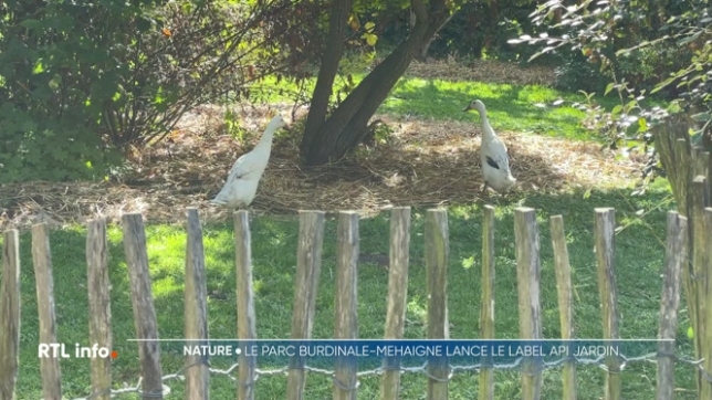 Votre jardin peut devenir un refuge pour la nature ! En adoptant une gestion écologique et en effectuant des aménagements pour accueillir la faune et la flore, votre jardin « naturel » deviendra un véritable refuge dans lequel vous pourrez observer une biodiversité surprenante.