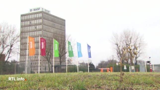 Le géant de la chimie BASF va supprimer environ 600 emplois dans son usine d'Anvers d'ici 2028. Cela représente près d'un emploi sur cinq sur ce site. Une décision que la direction justifie par un contexte économique particulièrement difficile.