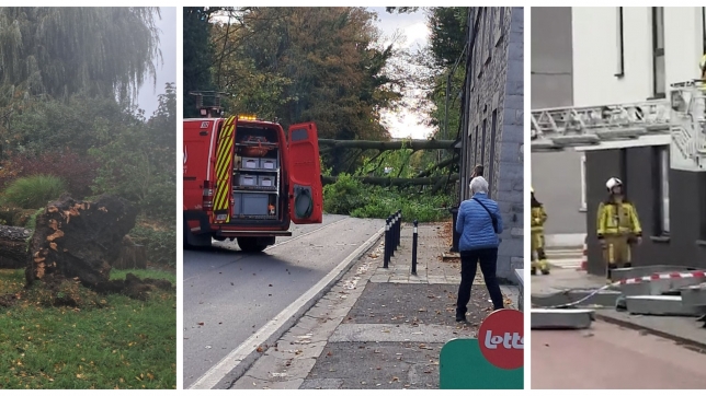 ipiccy_image (57).jpg