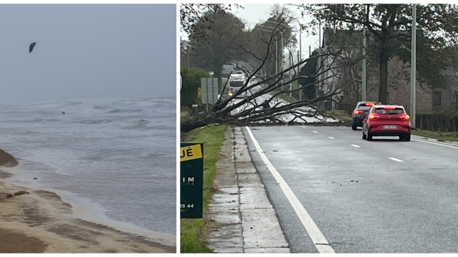 ipiccy_image (58).jpg