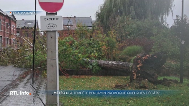Pas de dégâts majeurs, mais beaucoup de pluie et des vents frôlant les 100 km/h : la tempête Benjamin a soufflé sur la Belgique aujourd'hui. Ces intempéries ont provoqué plusieurs perturbations et entraîné des dizaines d'interventions des pompiers.