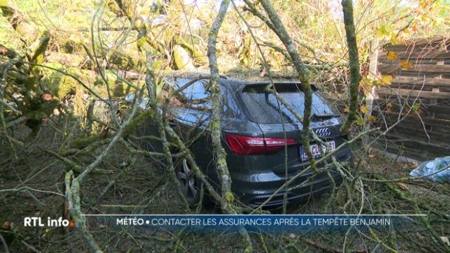 La tempête Benjamin a causé des dégâts lors de son passage chez nous hier. Des arbres sont tombés sur les voiries, des toitures ont été arrachées. Ce qui nous amène à la question suivante: les sinistrés vont-ils pouvoir compter sur leurs assurances? A partir de quand sont-elles censées intervenir ?