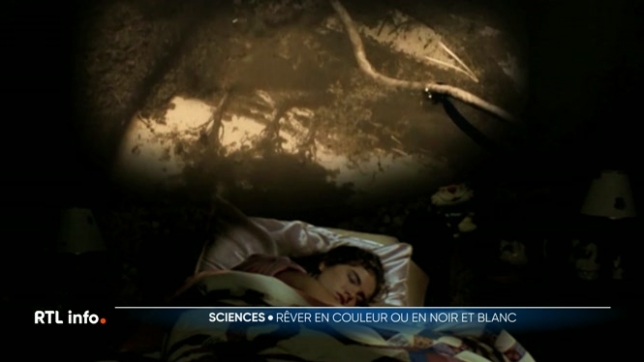 Suite de nos reportages consacrés aux études scientifiques étonnantes. Ce soir, Claire Carosone s'est intéressée à la couleur des rêves. Certains disent rêver en noir et blanc, d'autres en couleur. Comment interpréter ces variations de couleurs ?