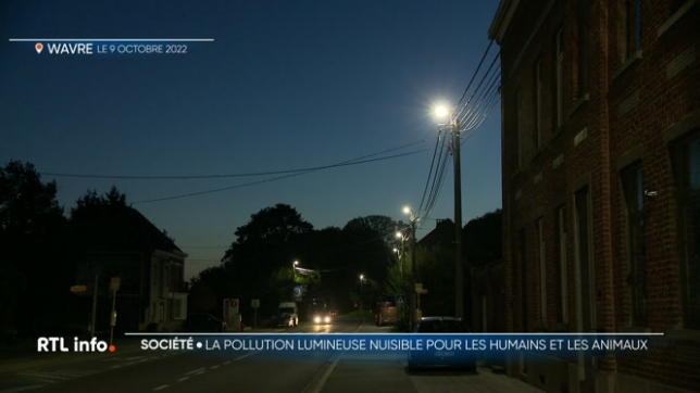 La nuit prochaine, nous passerons à l'heure d'hiver et nous dormirons une heure de plus. Cependant, nous perdrons en luminosité le soir et il faudra allumer les lumières artificielles plus tôt. Cette pollution lumineuse n'est pas sans effet sur la nature et notre santé. Explications.