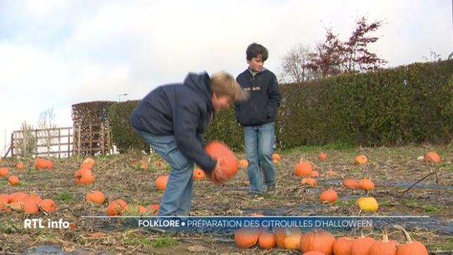 La fête d'Halloween approche. Symbole par excellence de cette tradition très populaire chez nous : c'est la citrouille.A Ittre, des cultivateurs ont proposé une immersion dans l'univers du potironavec des ateliers pour transformer sa courge en créature effrayante ou rigolote.