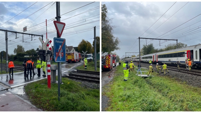 ipiccy_image - 2025-10-27T115220.085.jpg