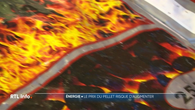 Le prix des pellets risque d'augmenter dans les prochaines semaines. Les stocks sont assez bas et la demande va s'accentuer avec la baisse des températures. Qu'en est-il du bois ou encore du mazout de chauffage ? Est-il temps, là aussi, de passer commande ?