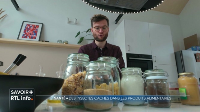Sans le savoir, nous mangeons tous des insectes. Ils se cachent dans nos aliments, dans nos cuisines, mais aussi dans les produits industriels. Alors en quelle quantité et surtout, est-ce dangereux pour la santé ?