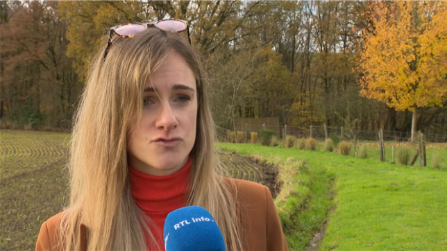 Attaque au couteau dans un bus TEC : Une altercation au sujet d'une place.