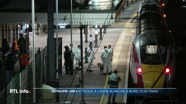 Les témoins parlent d'un acte d'une violence inouïe. L'attaque s'est déroulée à bord d'un train circulant en direction de Londres, dans la région de Cambridge. Les services antiterroristes ont été saisis pour collaborer à l'enquête sur le drame, pour lequel deux suspects ont été interpellés.