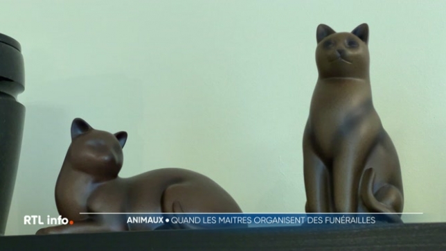 Nous sommes le 2 novembre, le Jour des Morts. L'heure est au recueillement sur la tombe d'un proche disparu ou celle d'un compagnon à 4 pattes. Aujourd'hui, certains animaux ont droit à de véritables funérailles. Une pratique en plein essor, avec des services divers et variés.