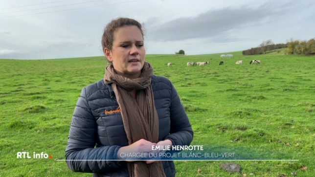 L'empreinte carbone des Belges est restée stable depuis 1990. Les émissions ont augmenté jusqu'en 2008 puis diminué. L'agriculture, 11 % des gaz à effet de serre, n'a pas baissé depuis 10 ans. La Belgique doit doubler ses efforts pour la neutralité 2050.