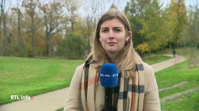 Laura Van Leerberghe, en direct dans le RTL Info 13h, fait le point sur la décision judiciaire interdisant la délivrance de permis de construire pour les terrains de plus d'un demi-hectare.