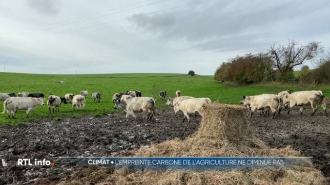 La Belgique devra redoubler d'efforts pour rattraper son retard vers la neutralité carbone. Selon le Service changement climatique du SPF Santé publique, l'empreinte carbone des Belges est restée la même qu’en 1990.