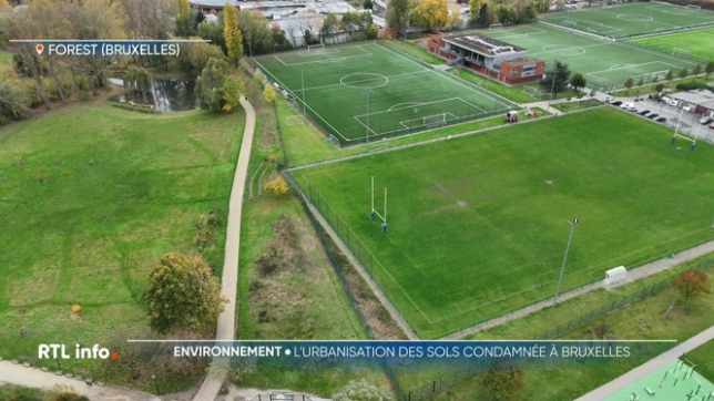 Une décision judiciaire interdit désormais la délivrance de permis de construire pour les terrains de plus d'un demi-hectare.