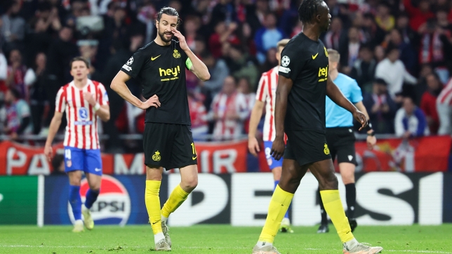 Belgaimage-139042348 copy.jpg