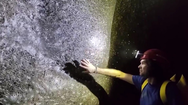 Capture d’écran 2025-11-07 092801.jpg