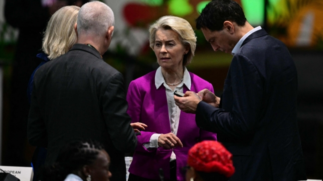 Ursula von der Leyen, la présidente de la Commission européenne