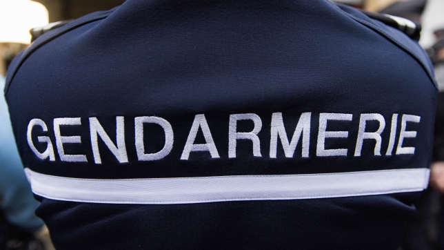 Belgaimage-81846094 (2).jpg