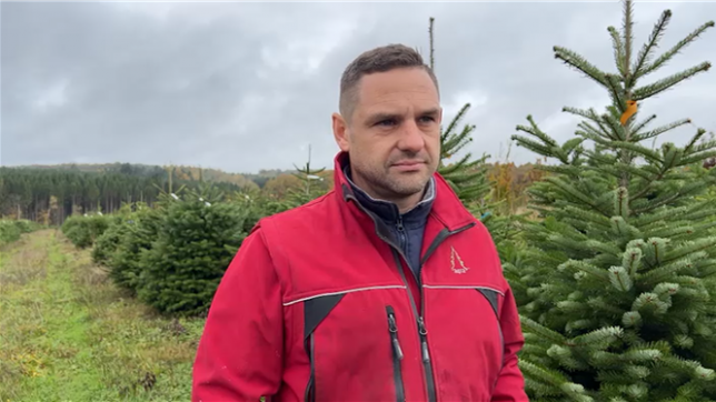Les sapins de Noël risquent bien de nous coûter plus cher cette année. La faute à des gelées tardives, survenues au mois de mai, et qui ont fortement impacté la production.