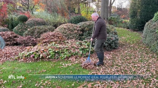 La période de la Sainte-Catherine est une période propice pour réaliser des plantations dans son jardin. Il faut cependant faire attention à certaines choses. Explications.