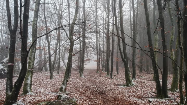 Facebook Info Meteo BMCB.jpg