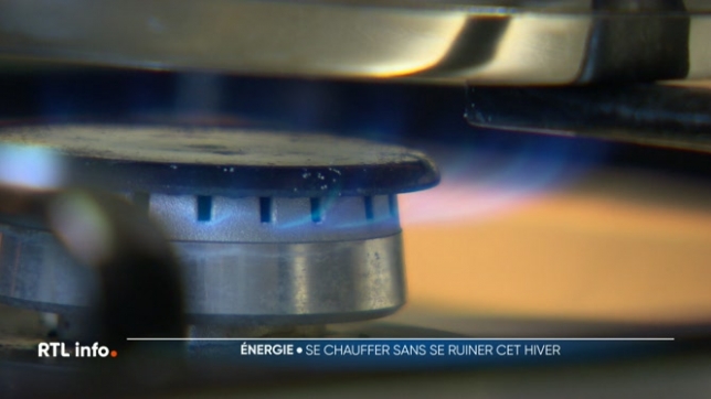 Que ce soit au mazout, au gaz, aux pellets ou grâce à une pompe à chaleur, il existe plusieurs types d'énergies. Mais laquelle privilégier ? Entre la hausse des prix, la taxe carbone et la recherche de solutions durables, comment se chauffer sans se ruiner ?