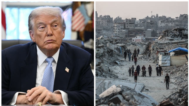 ipiccy_image - 2025-11-17T234432.660.jpg