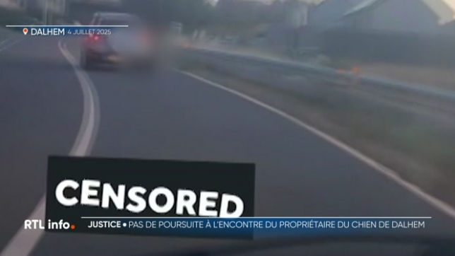 En juillet dernier, une vidéo diffusée sur les réseaux sociaux choquait la population. On y voyait un chien trainé au bout d'une laisse par la fenêtre d'une voiture. Le parquet de Liège a mené l'enquête et a décidé d'abandonner les poursuites; il appelle au calme.