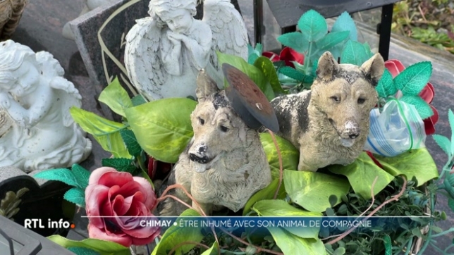 Cela fait un an que la Région wallonne permet aux habitants d'être enterrés ou incinérés aux côtés d'un animal de compagnie. Jusqu'à présent, un quart des communes a autorisé cette possibilité. Exemple à Chimay, en province de Hainaut.