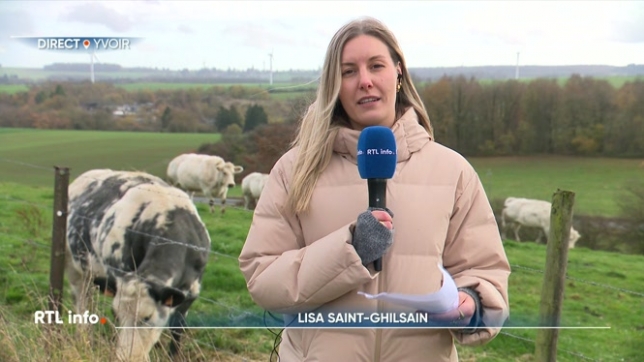 En direct d'Yvoir, Lisa Saint-Ghislain évoque la baisse des températures qui oblige les agriculteurs à rentrer le bétail à l'intérieur. Le travail est donc assez intense depuis quelques heures pour les éleveurs.