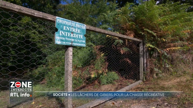 Depuis début octobre et jusqu'à fin janvier, c'est la période de chasse, variable selon les régions et les espèces, comme les colverts et les faisans. Importées pour la chasse, elles sont entreposées dans des volières en Wallonie, des lieux discrets, difficiles d'accès et souvent controversés.