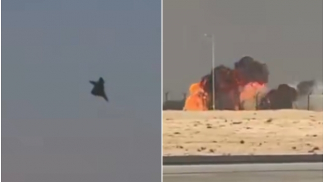 ipiccy_image (94).jpg