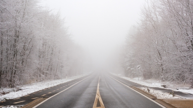 Belgaimage-142657937 (1).jpg