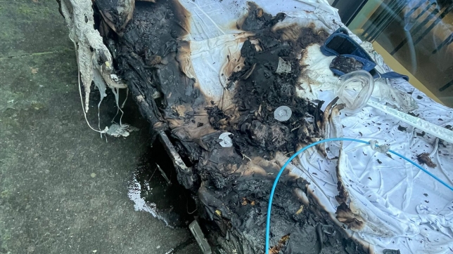 WhatsApp Image 2025-11-22 at 11.47.53.jpeg