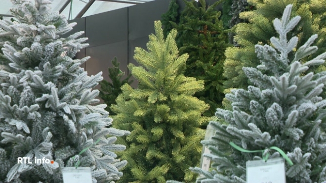Cette année, en raison des gelées du mois de mai, le prix des sapins naturels a augmenté de 5 à 10 %. Comme c'est le cas depuis plusieurs années, de nombreux Belges se tourneront donc vers des sapins artificiels.