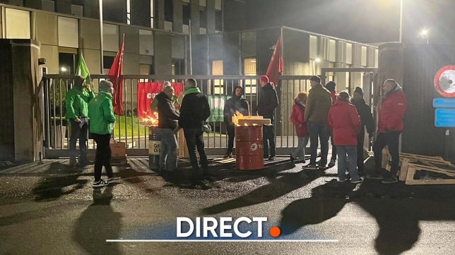 greve direct 1.jpg